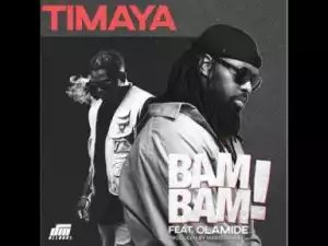 Instrumental: Timaya - Bam Bam ft Olamide